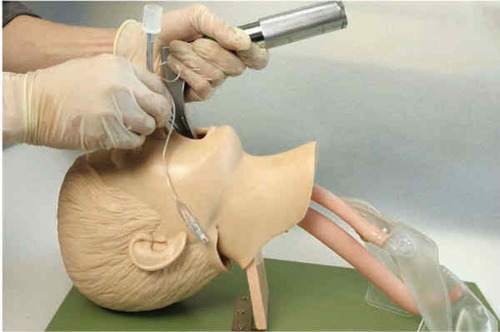 child trachea intubation anatomy model